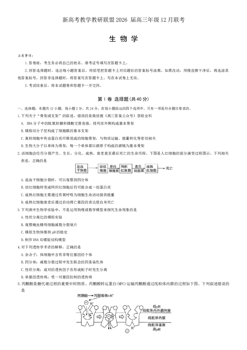湖南省长郡二十校联盟2025-2026年高三上12月月月考生物试卷（含解析）_2025年12月_251202湖南省新高考教学教研联盟2026届高三年级12月联考（长郡二十校联盟）（全科）