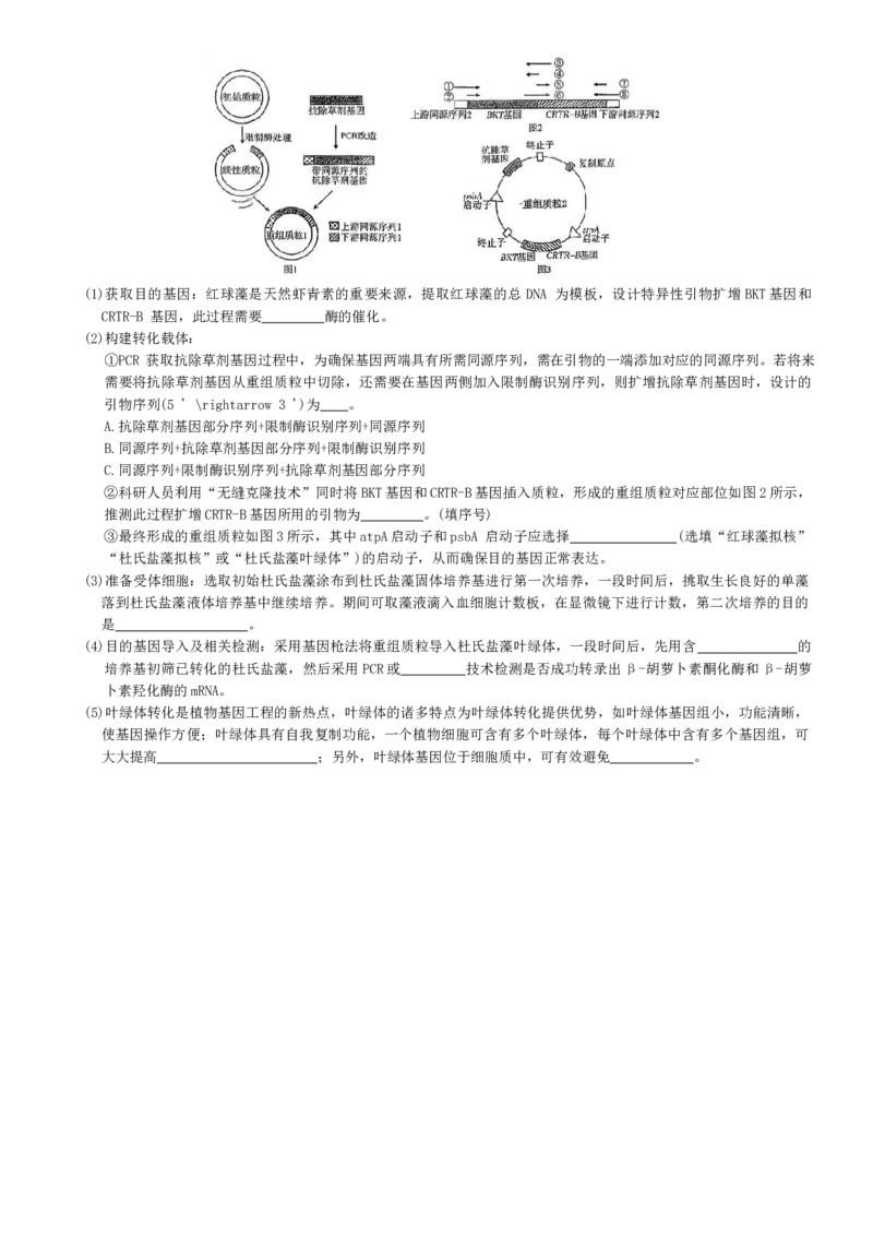 湖南省长郡二十校联盟2025-2026年高三上12月月月考生物试卷（含解析）_2025年12月_251202湖南省新高考教学教研联盟2026届高三年级12月联考（长郡二十校联盟）（全科）