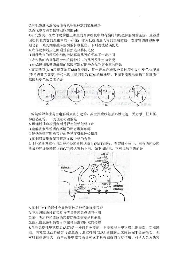 山东省德州市2023-2024学年高三上学期1月期末生物试题(无答案)_2024届山东省德州市高三上学期期末考试_山东省德州市2024届高三上学期期末考试生物