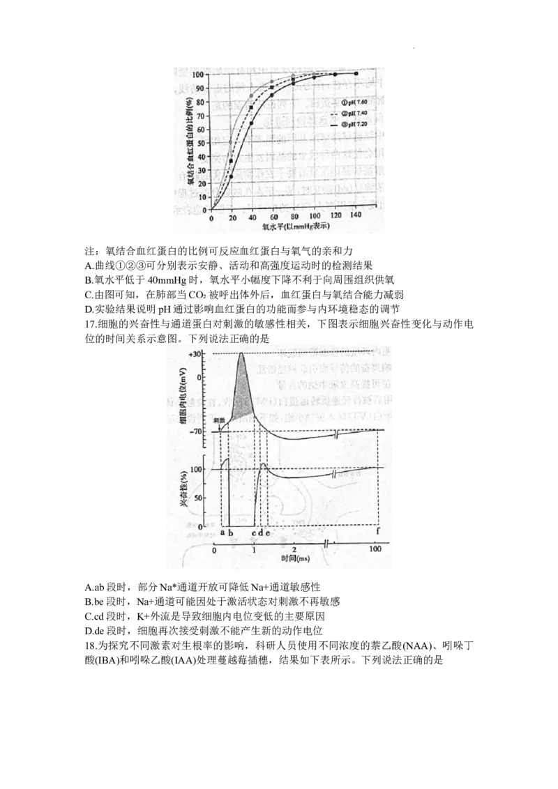 山东省德州市2023-2024学年高三上学期1月期末生物试题(无答案)_2024届山东省德州市高三上学期期末考试_山东省德州市2024届高三上学期期末考试生物