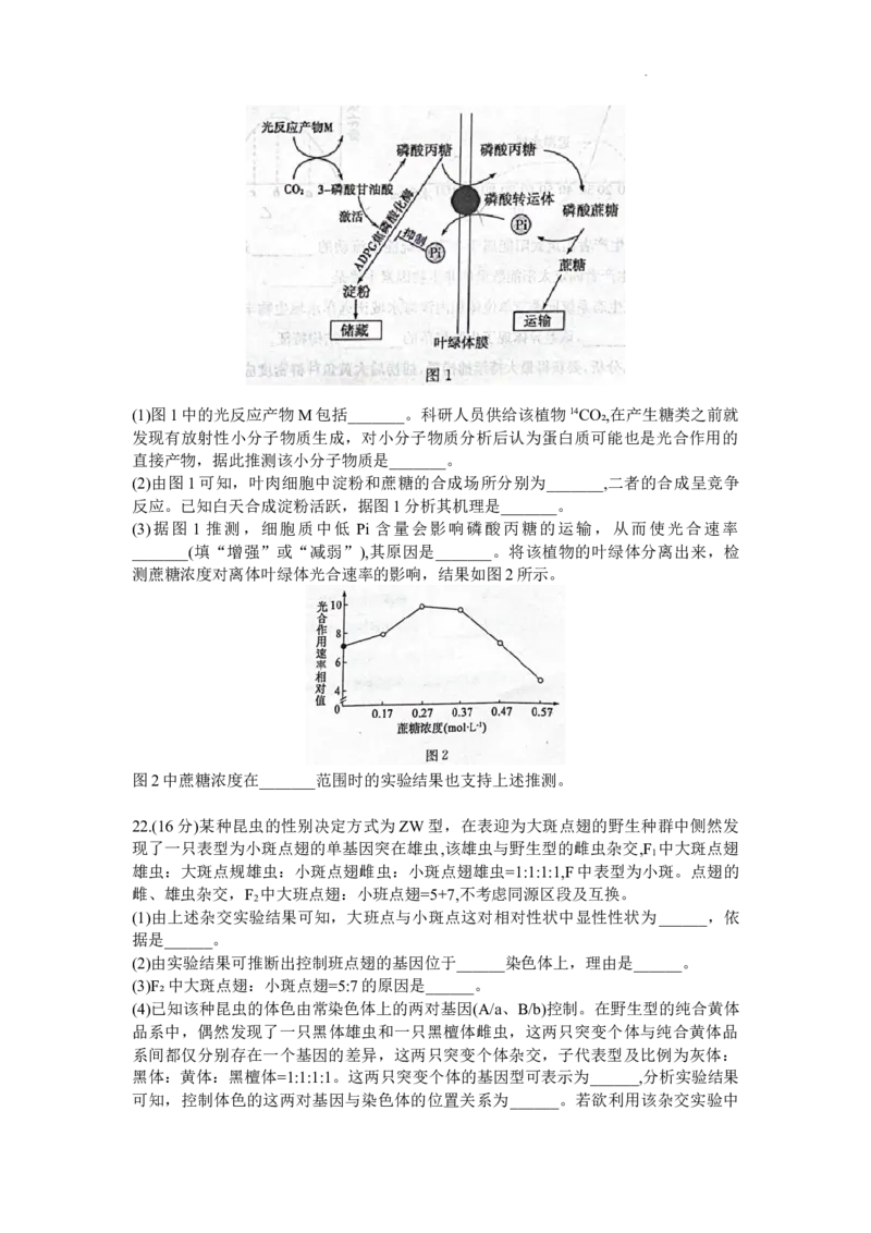 山东省德州市2023-2024学年高三上学期1月期末生物试题(无答案)_2024届山东省德州市高三上学期期末考试_山东省德州市2024届高三上学期期末考试生物