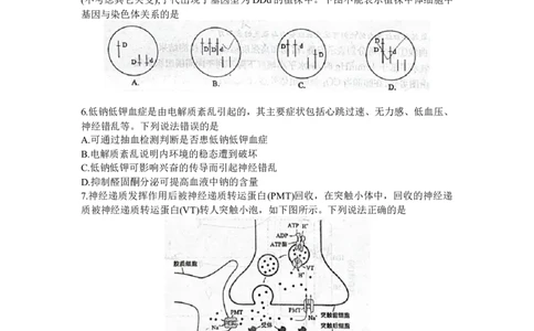 山东省德州市2023-2024学年高三上学期1月期末生物试题(无答案)_2024届山东省德州市高三上学期期末考试_山东省德州市2024届高三上学期期末考试生物