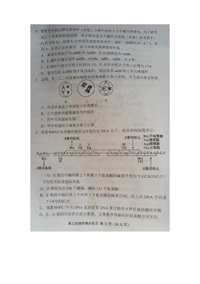 天津市部分区2024届高三上学期期末考试试题生物_2024届天津市部分区高三上学期期末考试试题