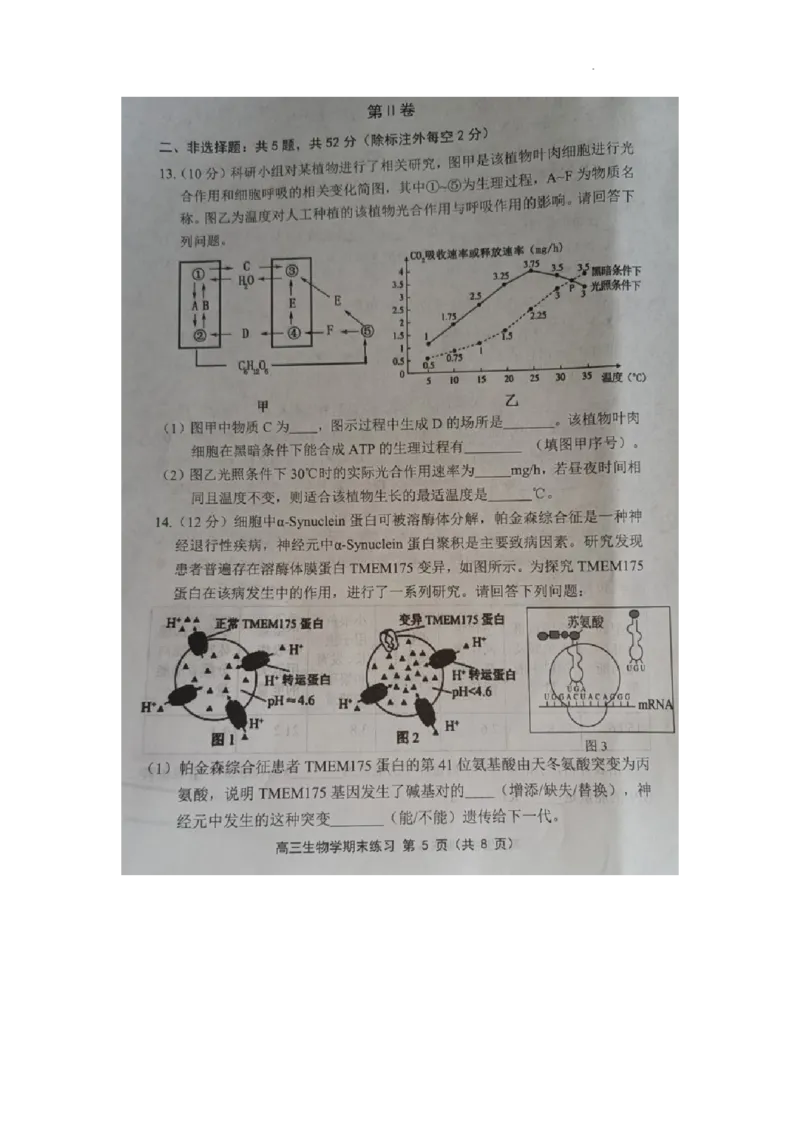 天津市部分区2024届高三上学期期末考试试题生物_2024届天津市部分区高三上学期期末考试试题
