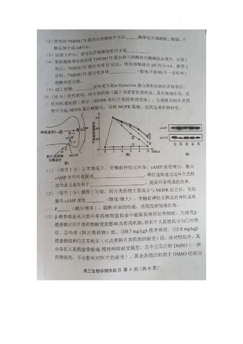 天津市部分区2024届高三上学期期末考试试题生物_2024届天津市部分区高三上学期期末考试试题