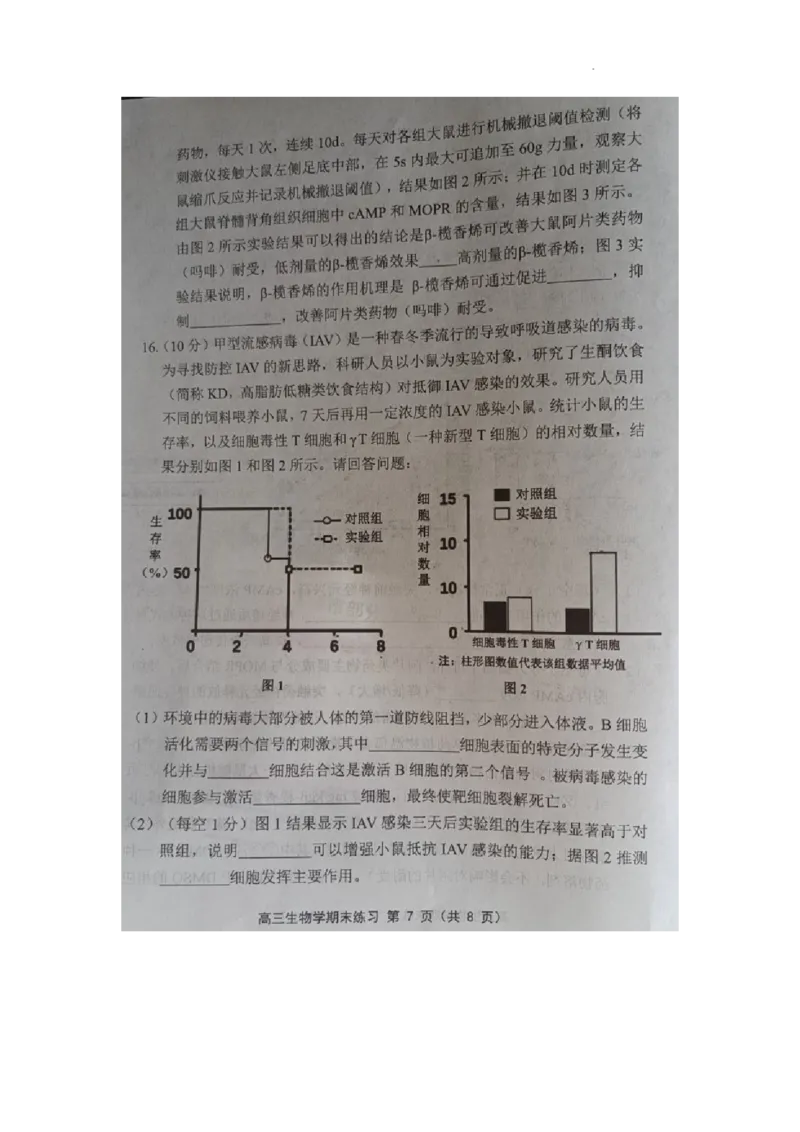 天津市部分区2024届高三上学期期末考试试题生物_2024届天津市部分区高三上学期期末考试试题