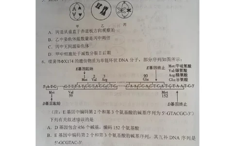 天津市部分区2024届高三上学期期末考试试题生物_2024届天津市部分区高三上学期期末考试试题