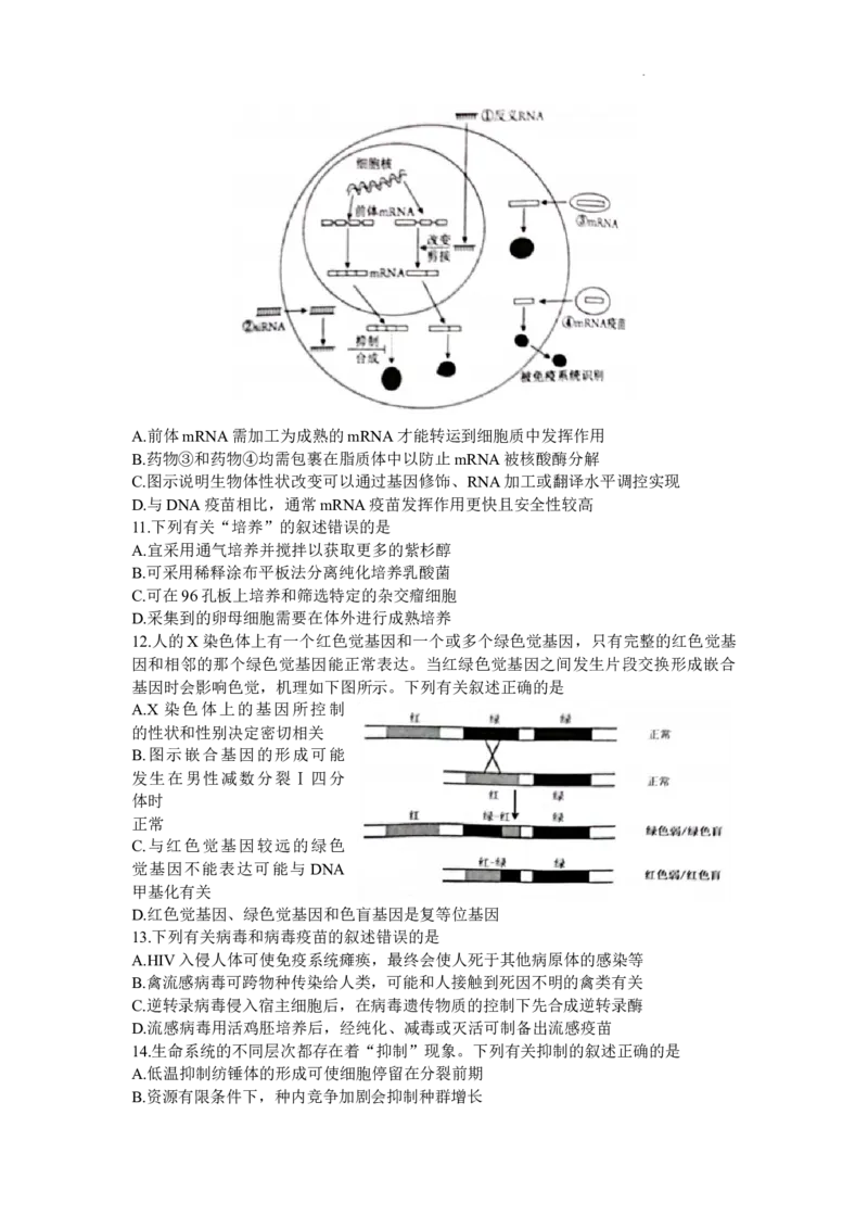 江苏省苏州市2024届高三上学期1月期末学业质量阳光指标调研生物_2024届江苏省苏州市高三上学期1月期末学业质量阳光指标调研