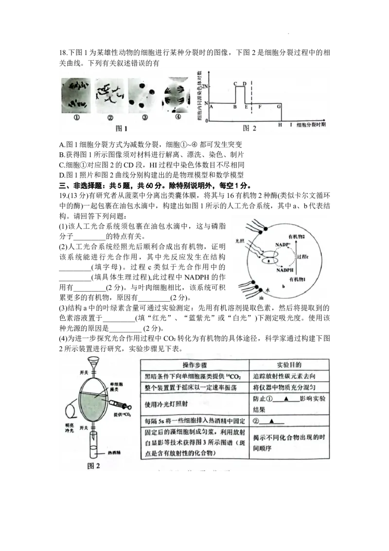 江苏省苏州市2024届高三上学期1月期末学业质量阳光指标调研生物_2024届江苏省苏州市高三上学期1月期末学业质量阳光指标调研