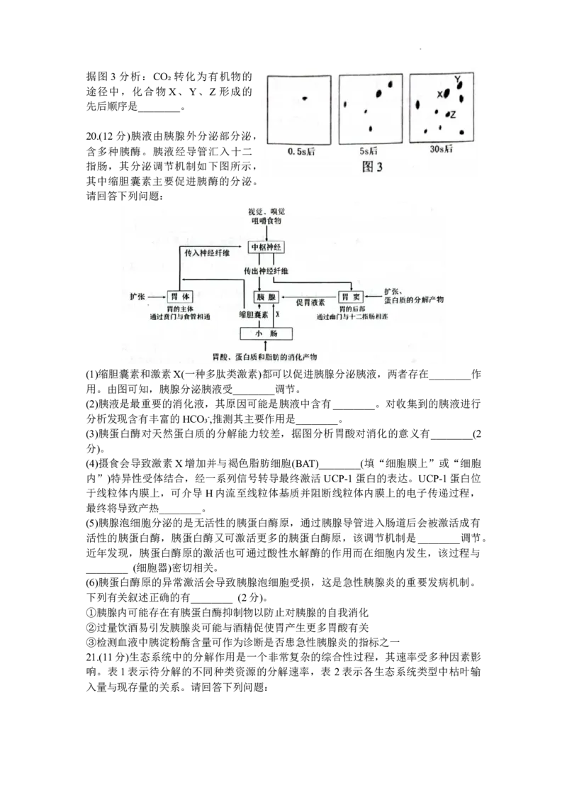 江苏省苏州市2024届高三上学期1月期末学业质量阳光指标调研生物_2024届江苏省苏州市高三上学期1月期末学业质量阳光指标调研