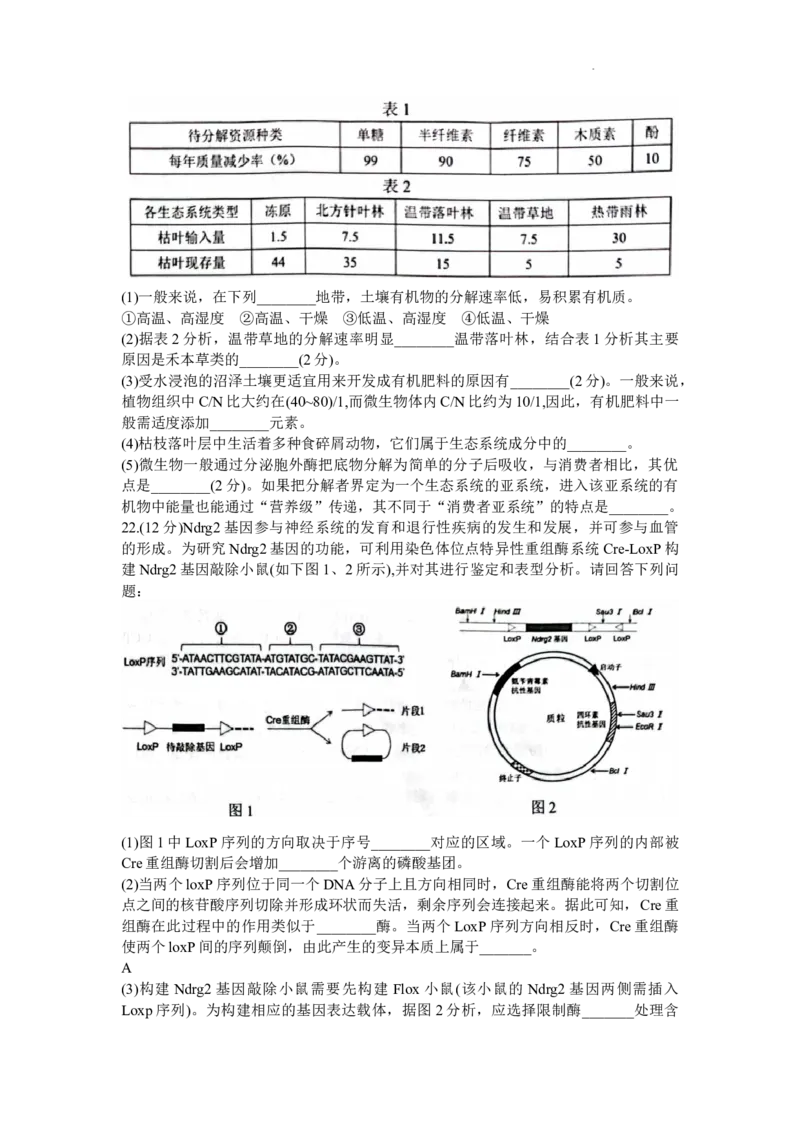 江苏省苏州市2024届高三上学期1月期末学业质量阳光指标调研生物_2024届江苏省苏州市高三上学期1月期末学业质量阳光指标调研