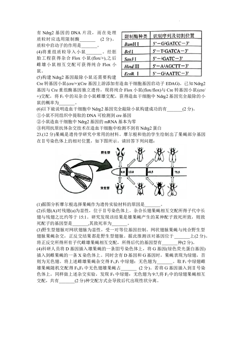 江苏省苏州市2024届高三上学期1月期末学业质量阳光指标调研生物_2024届江苏省苏州市高三上学期1月期末学业质量阳光指标调研