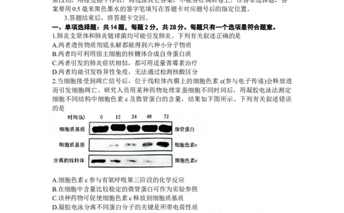 江苏省苏州市2024届高三上学期1月期末学业质量阳光指标调研生物_2024届江苏省苏州市高三上学期1月期末学业质量阳光指标调研
