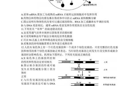 江苏省苏州市2024届高三上学期1月期末学业质量阳光指标调研生物_2024届江苏省苏州市高三上学期1月期末学业质量阳光指标调研