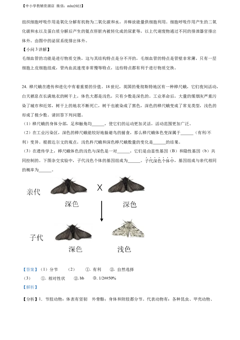 精品解析：2022年山东省济宁市学业水平测试生物试题（解析版）_中考真题_8.生物中考真题2015-2024年_2022年全国中考生物114份14