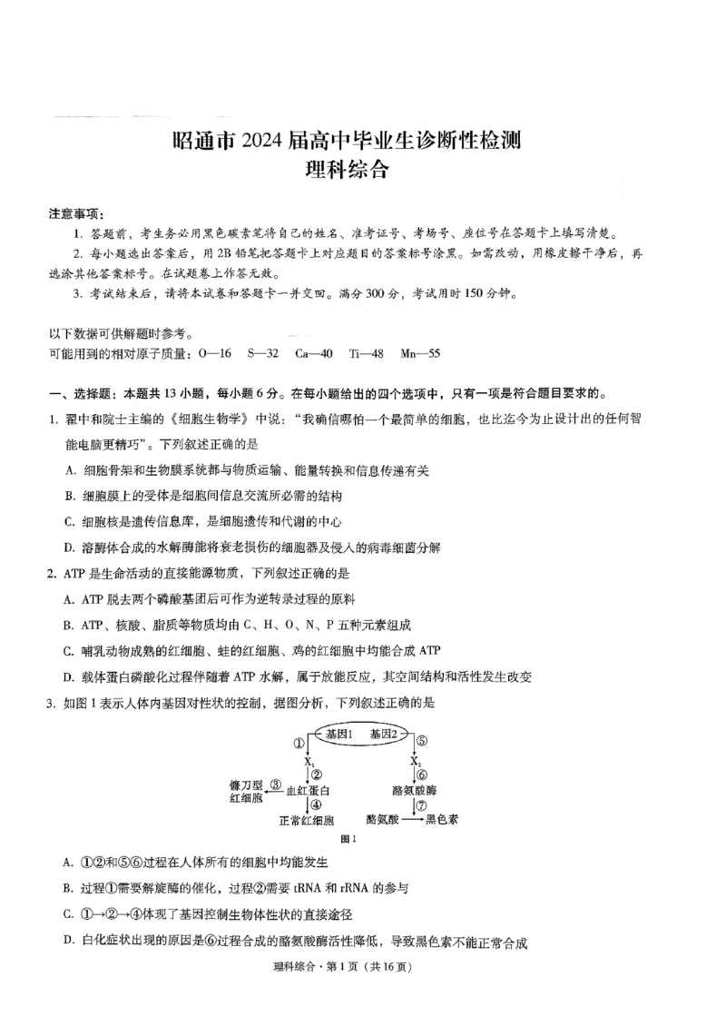 昭通市2024届理综试卷_2024届云南省昭通市高三上学期诊断性检测_2024届云南省昭通市高三上学期诊断性检测理综