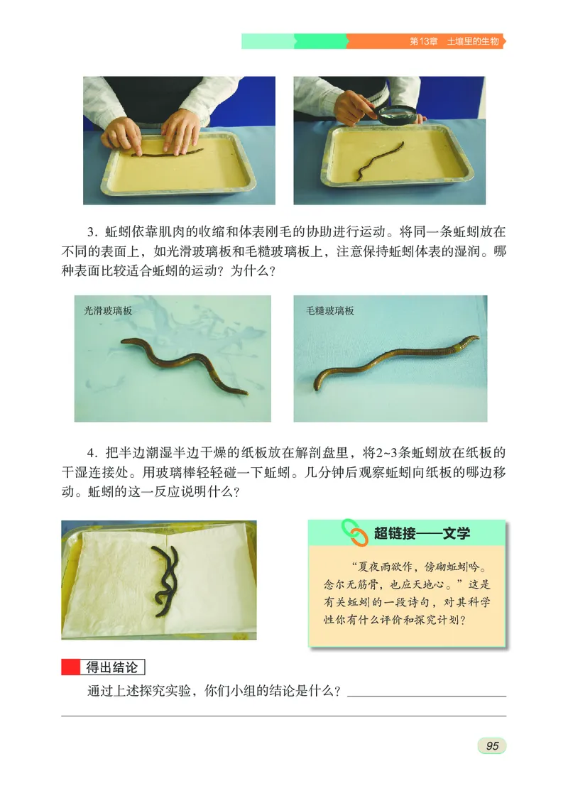 苏科版7年级生物下册高清教材_4-教培资料-26年最新资料-同步更新_初中高中教资_03科三专项（进去保存报考的学科即可）_02科三专项（笔记真题思维导图教学设计版本二）