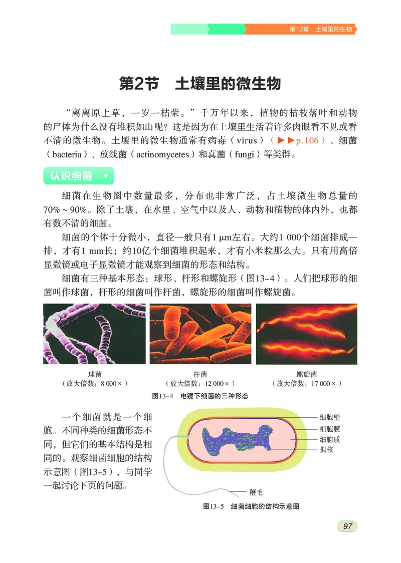 苏科版7年级生物下册高清教材_4-教培资料-26年最新资料-同步更新_初中高中教资_03科三专项（进去保存报考的学科即可）_02科三专项（笔记真题思维导图教学设计版本二）