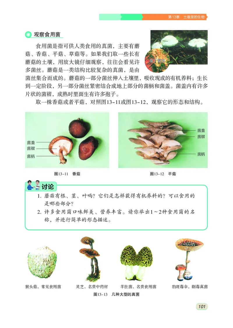 苏科版7年级生物下册高清教材_4-教培资料-26年最新资料-同步更新_初中高中教资_03科三专项（进去保存报考的学科即可）_02科三专项（笔记真题思维导图教学设计版本二）