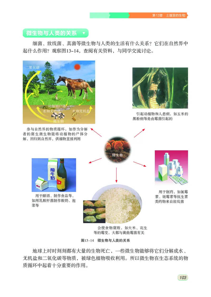 苏科版7年级生物下册高清教材_4-教培资料-26年最新资料-同步更新_初中高中教资_03科三专项（进去保存报考的学科即可）_02科三专项（笔记真题思维导图教学设计版本二）
