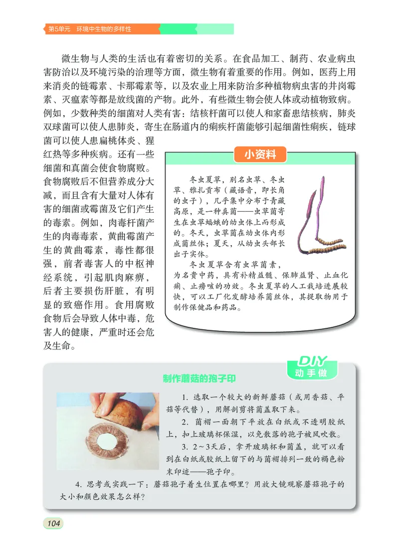 苏科版7年级生物下册高清教材_4-教培资料-26年最新资料-同步更新_初中高中教资_03科三专项（进去保存报考的学科即可）_02科三专项（笔记真题思维导图教学设计版本二）