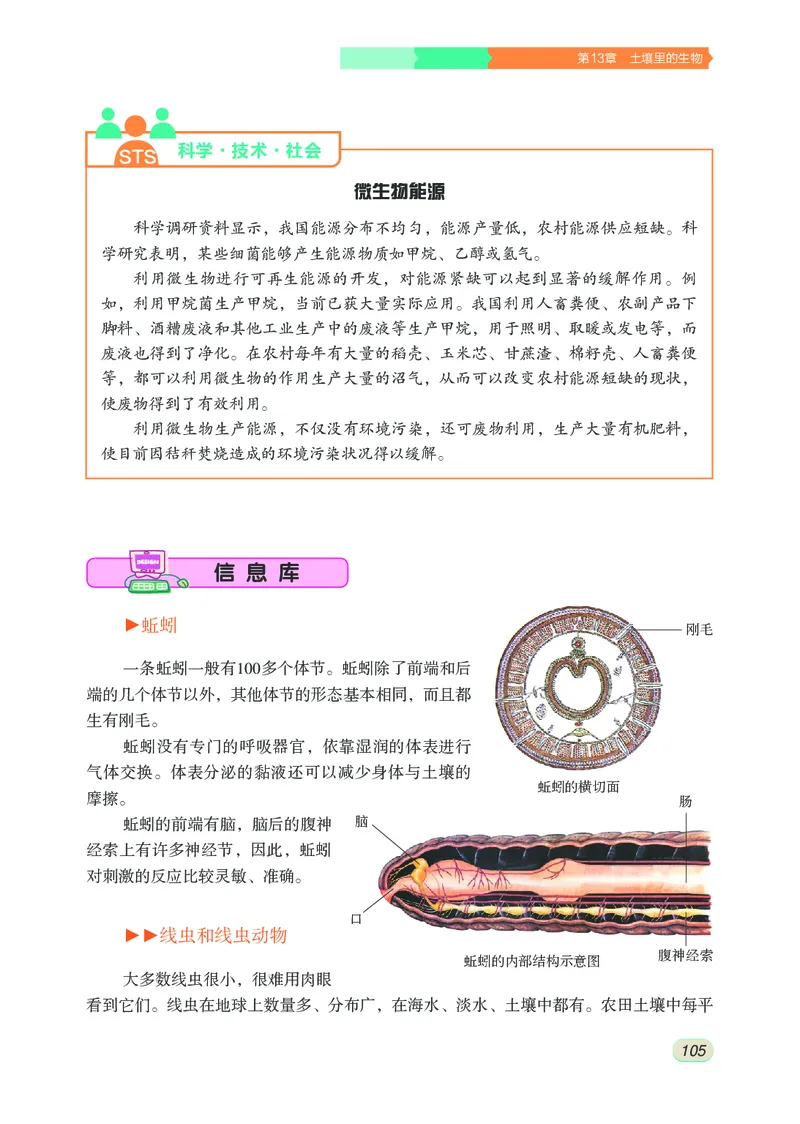 苏科版7年级生物下册高清教材_4-教培资料-26年最新资料-同步更新_初中高中教资_03科三专项（进去保存报考的学科即可）_02科三专项（笔记真题思维导图教学设计版本二）