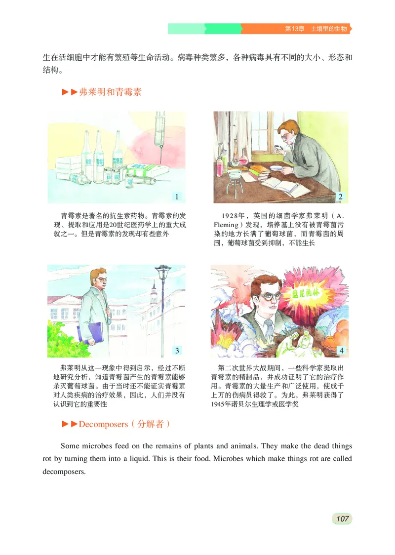 苏科版7年级生物下册高清教材_4-教培资料-26年最新资料-同步更新_初中高中教资_03科三专项（进去保存报考的学科即可）_02科三专项（笔记真题思维导图教学设计版本二）