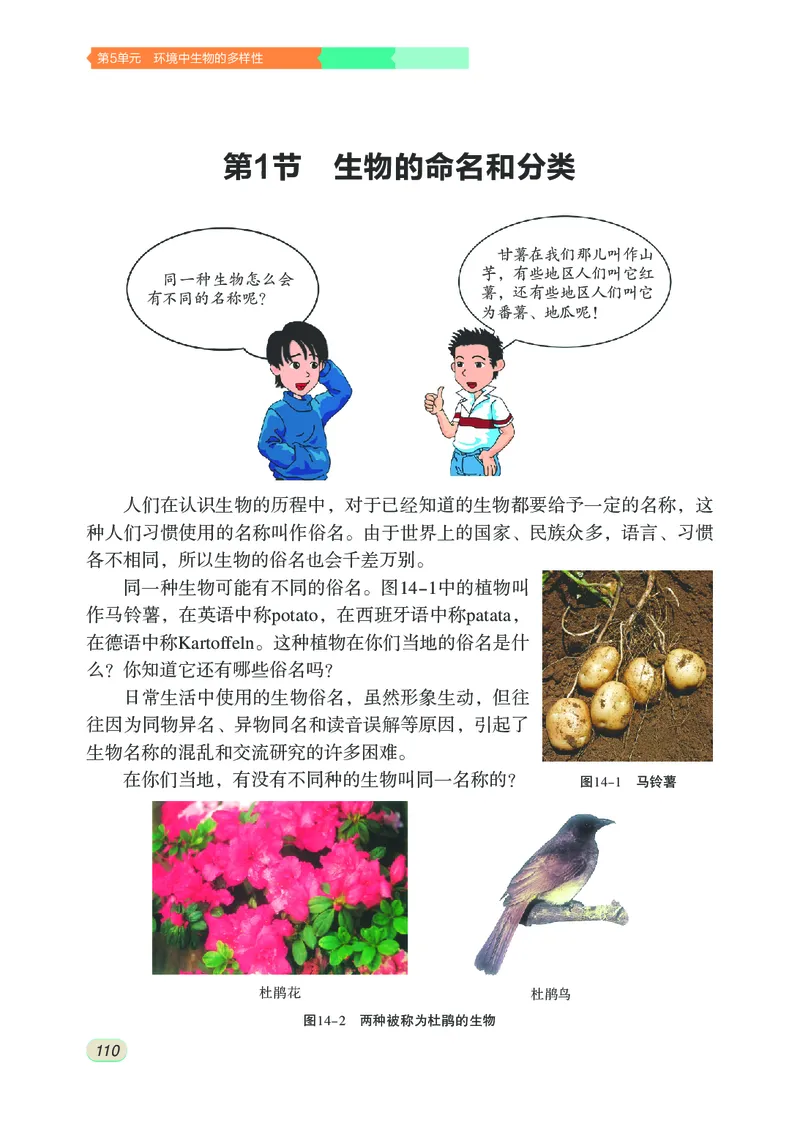 苏科版7年级生物下册高清教材_4-教培资料-26年最新资料-同步更新_初中高中教资_03科三专项（进去保存报考的学科即可）_02科三专项（笔记真题思维导图教学设计版本二）