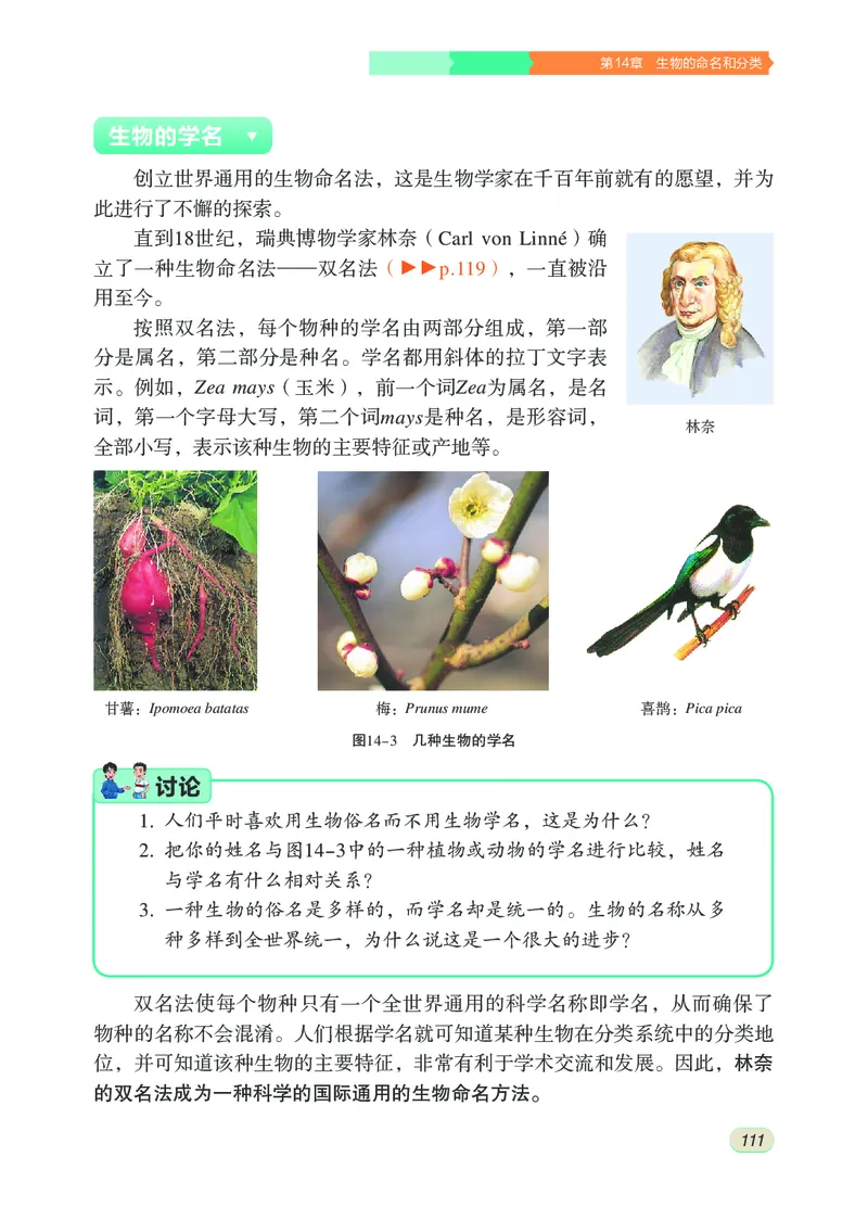 苏科版7年级生物下册高清教材_4-教培资料-26年最新资料-同步更新_初中高中教资_03科三专项（进去保存报考的学科即可）_02科三专项（笔记真题思维导图教学设计版本二）