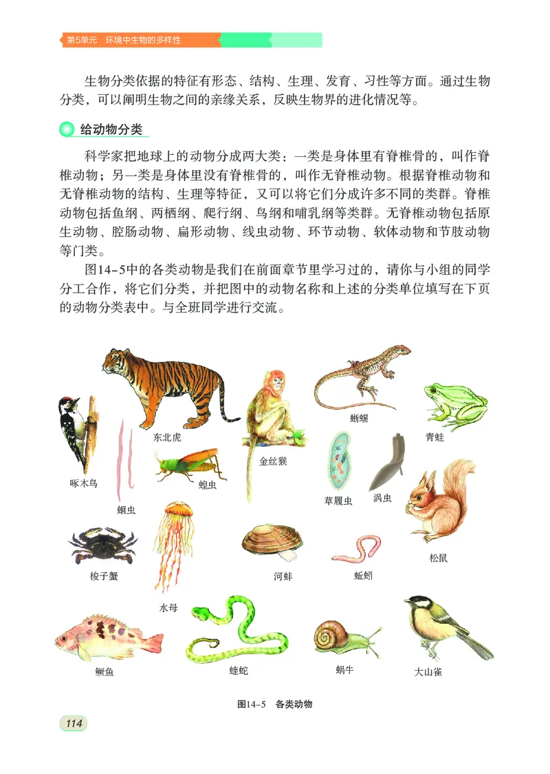 苏科版7年级生物下册高清教材_4-教培资料-26年最新资料-同步更新_初中高中教资_03科三专项（进去保存报考的学科即可）_02科三专项（笔记真题思维导图教学设计版本二）