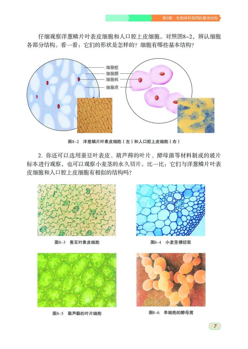 苏科版7年级生物下册高清教材_4-教培资料-26年最新资料-同步更新_初中高中教资_03科三专项（进去保存报考的学科即可）_02科三专项（笔记真题思维导图教学设计版本二）