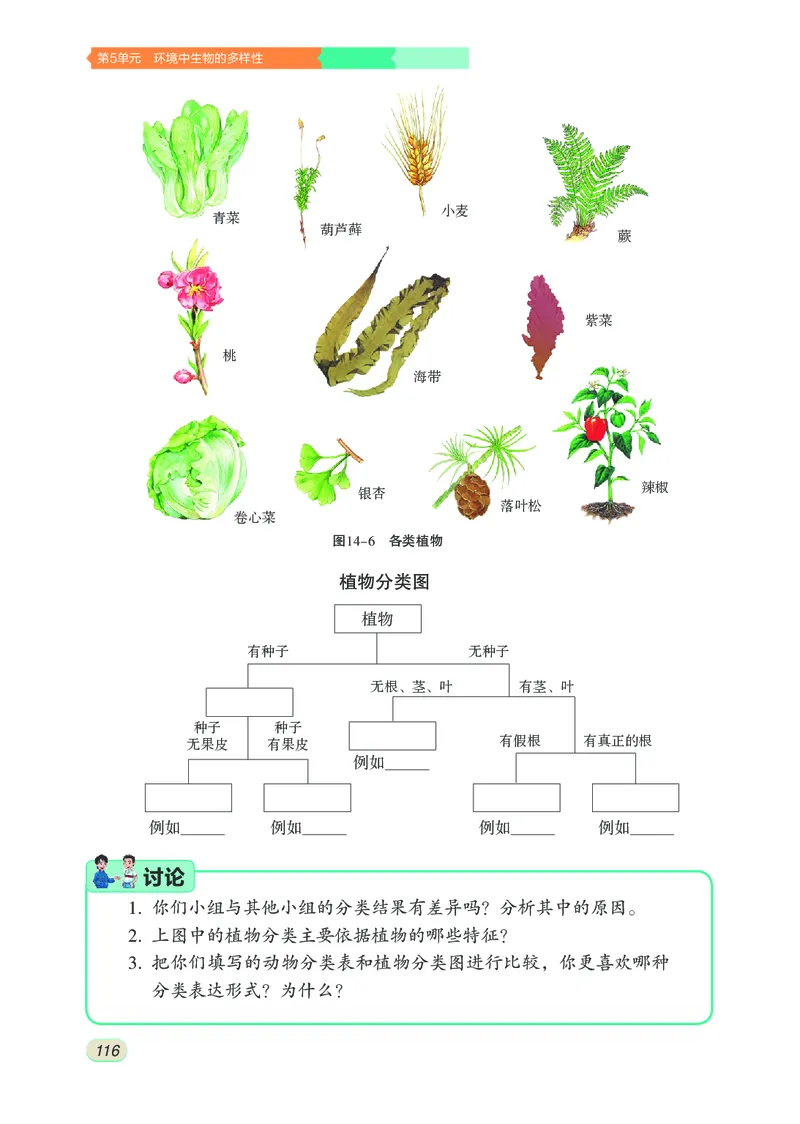 苏科版7年级生物下册高清教材_4-教培资料-26年最新资料-同步更新_初中高中教资_03科三专项（进去保存报考的学科即可）_02科三专项（笔记真题思维导图教学设计版本二）