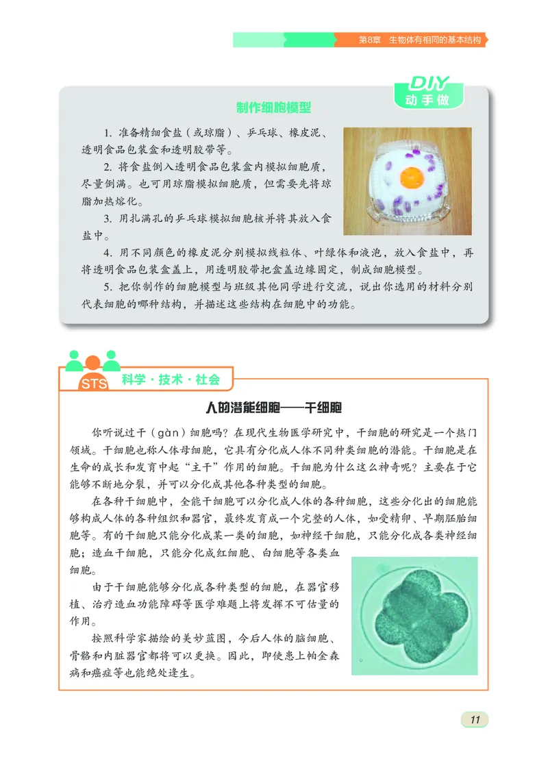 苏科版7年级生物下册高清教材_4-教培资料-26年最新资料-同步更新_初中高中教资_03科三专项（进去保存报考的学科即可）_02科三专项（笔记真题思维导图教学设计版本二）