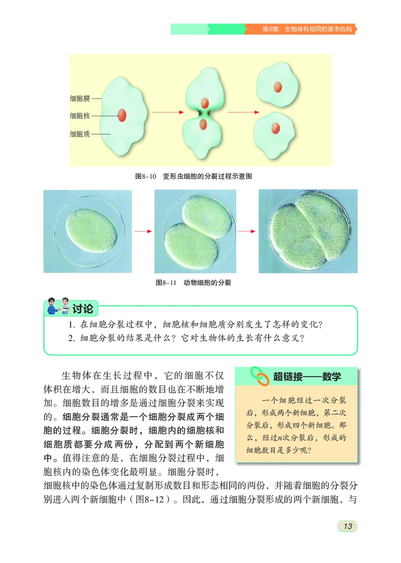 苏科版7年级生物下册高清教材_4-教培资料-26年最新资料-同步更新_初中高中教资_03科三专项（进去保存报考的学科即可）_02科三专项（笔记真题思维导图教学设计版本二）