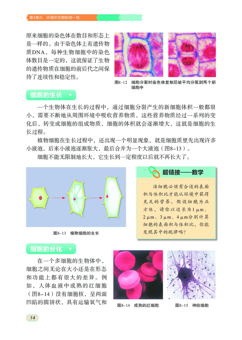 苏科版7年级生物下册高清教材_4-教培资料-26年最新资料-同步更新_初中高中教资_03科三专项（进去保存报考的学科即可）_02科三专项（笔记真题思维导图教学设计版本二）