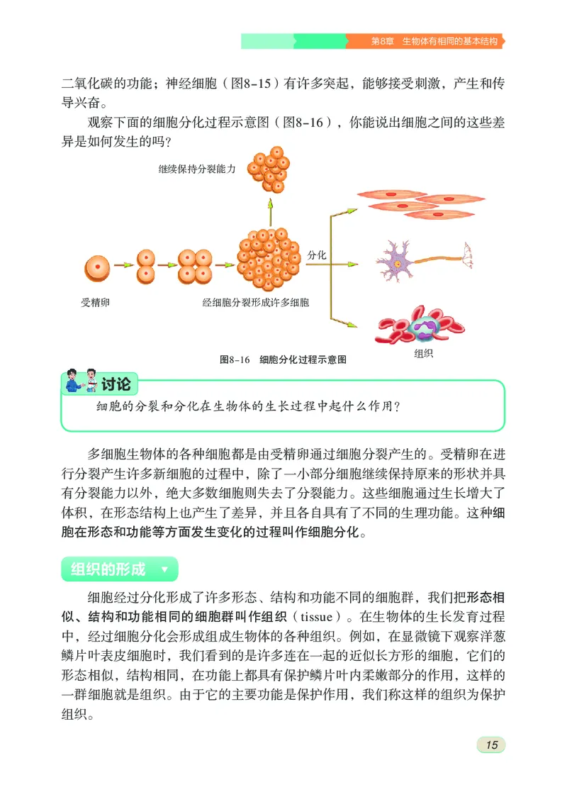 苏科版7年级生物下册高清教材_4-教培资料-26年最新资料-同步更新_初中高中教资_03科三专项（进去保存报考的学科即可）_02科三专项（笔记真题思维导图教学设计版本二）