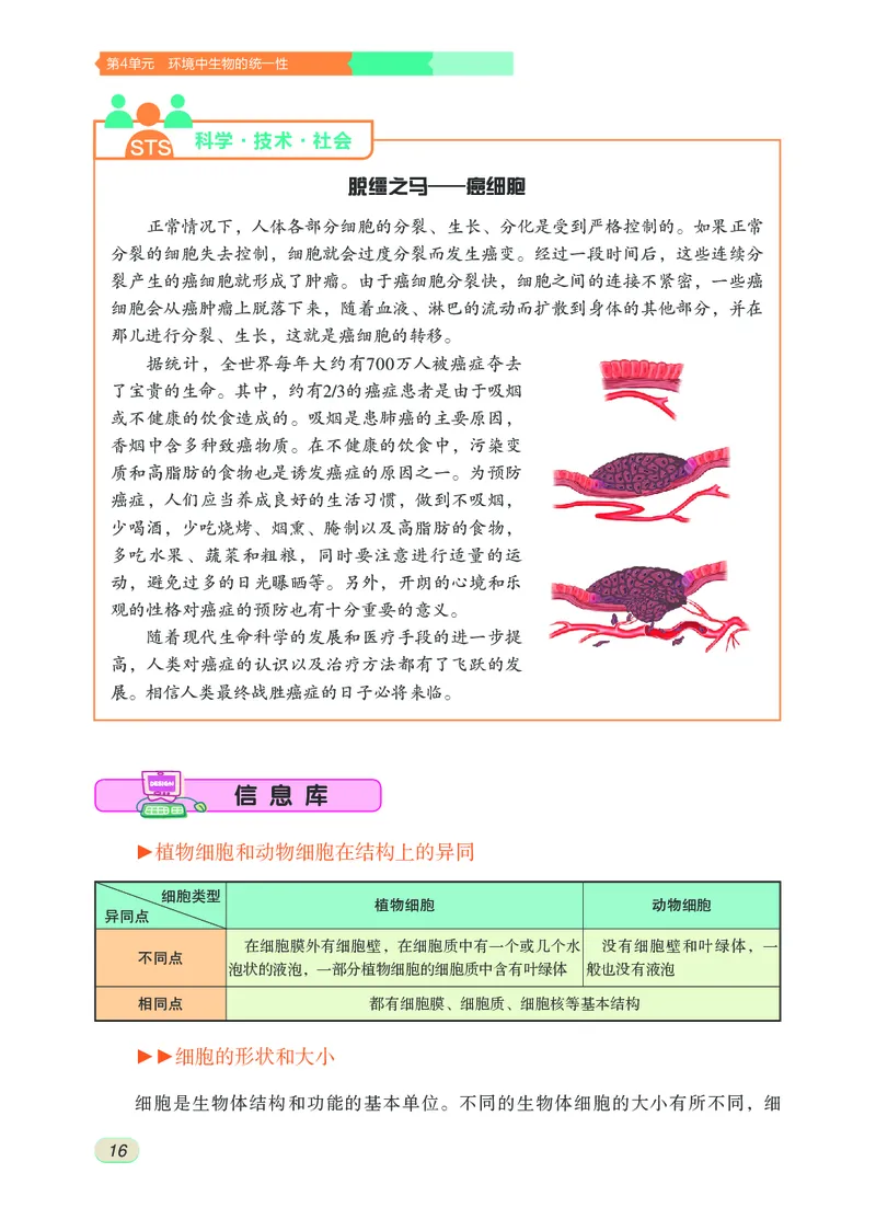 苏科版7年级生物下册高清教材_4-教培资料-26年最新资料-同步更新_初中高中教资_03科三专项（进去保存报考的学科即可）_02科三专项（笔记真题思维导图教学设计版本二）
