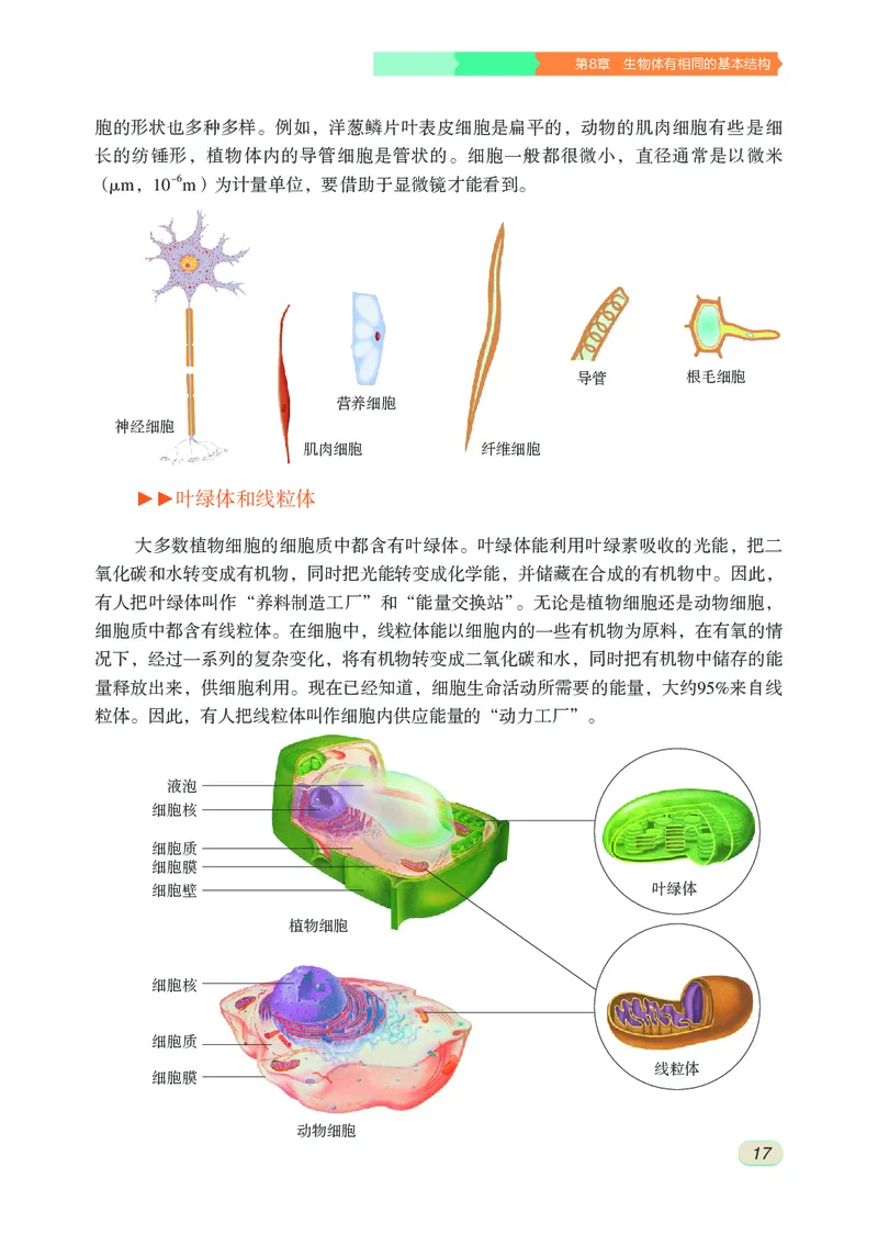 苏科版7年级生物下册高清教材_4-教培资料-26年最新资料-同步更新_初中高中教资_03科三专项（进去保存报考的学科即可）_02科三专项（笔记真题思维导图教学设计版本二）