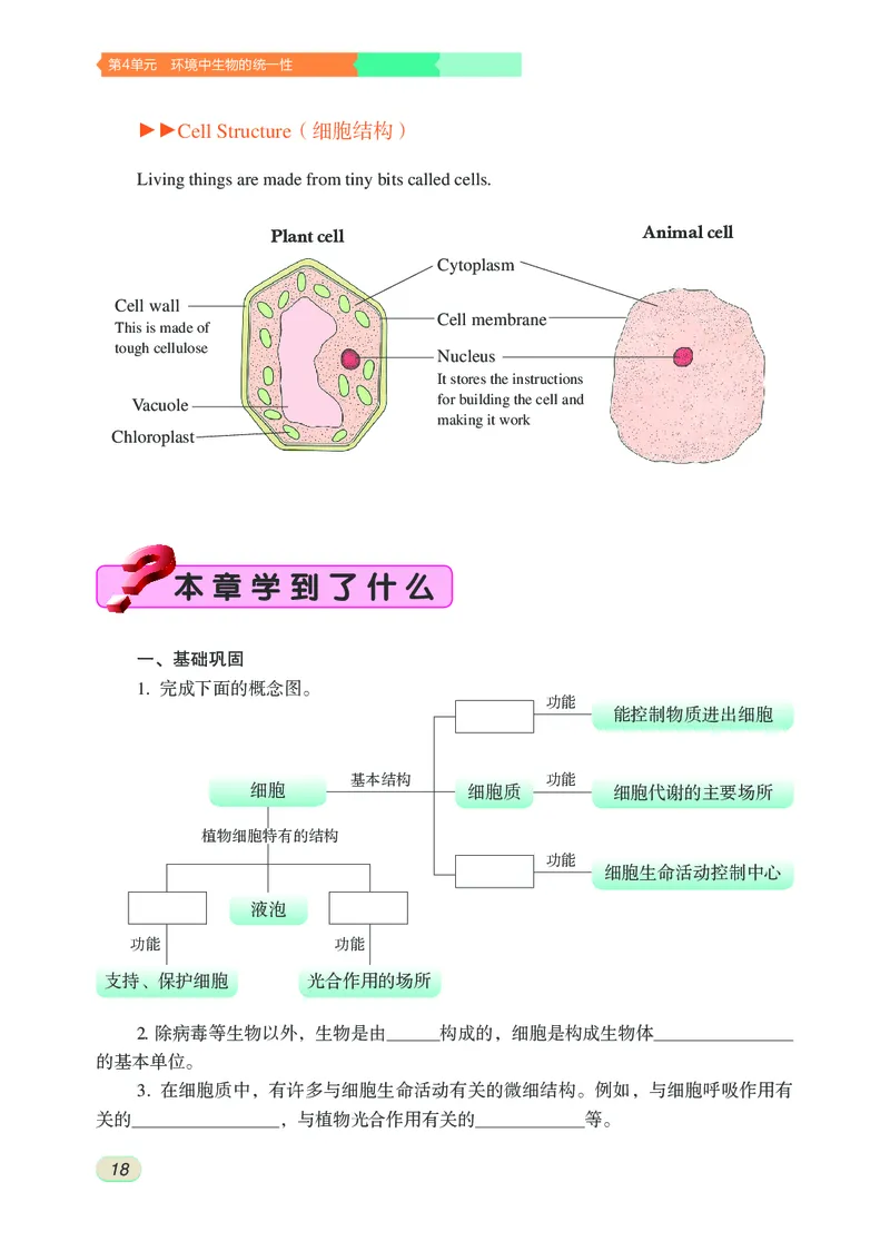 苏科版7年级生物下册高清教材_4-教培资料-26年最新资料-同步更新_初中高中教资_03科三专项（进去保存报考的学科即可）_02科三专项（笔记真题思维导图教学设计版本二）