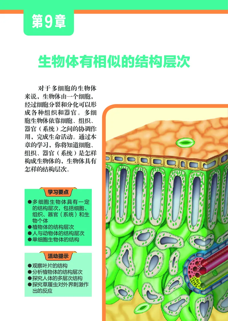 苏科版7年级生物下册高清教材_4-教培资料-26年最新资料-同步更新_初中高中教资_03科三专项（进去保存报考的学科即可）_02科三专项（笔记真题思维导图教学设计版本二）