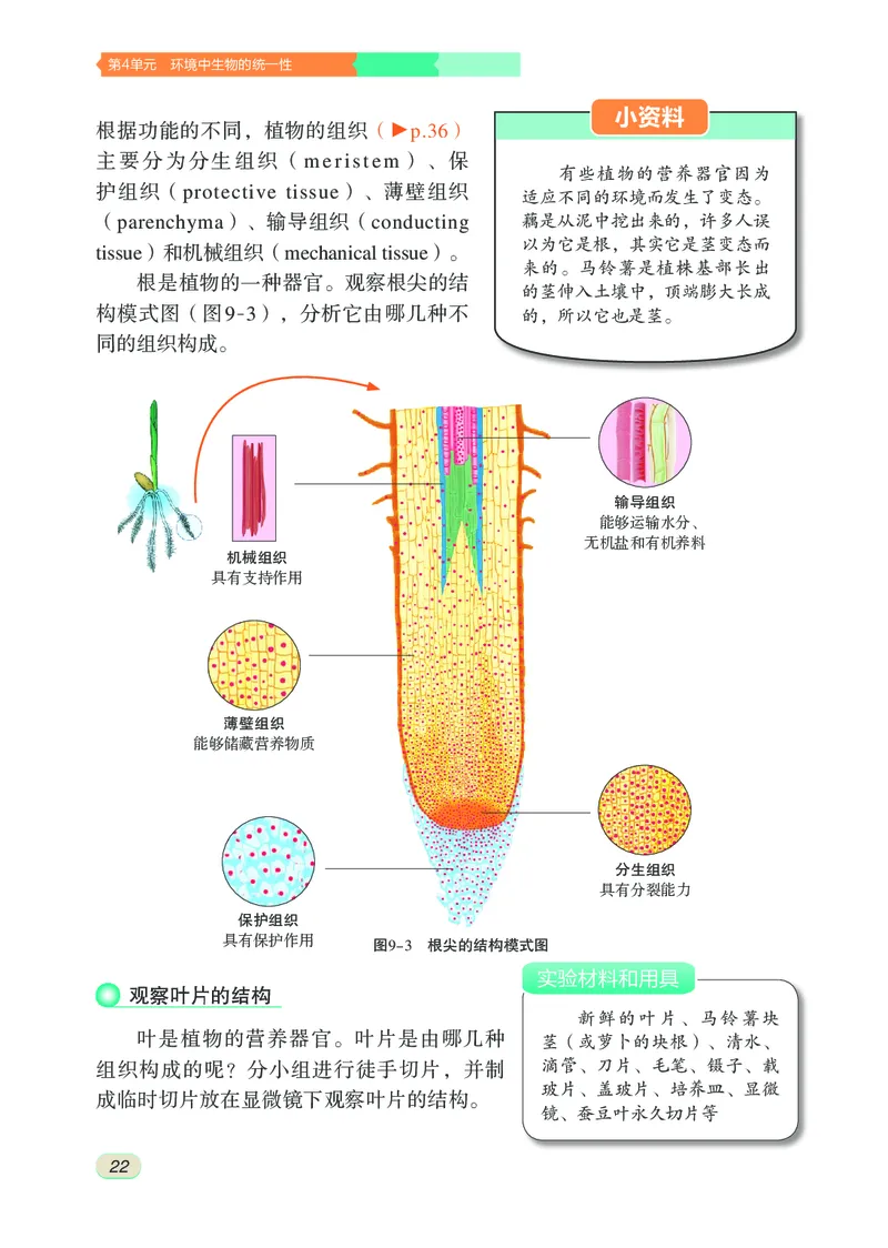 苏科版7年级生物下册高清教材_4-教培资料-26年最新资料-同步更新_初中高中教资_03科三专项（进去保存报考的学科即可）_02科三专项（笔记真题思维导图教学设计版本二）