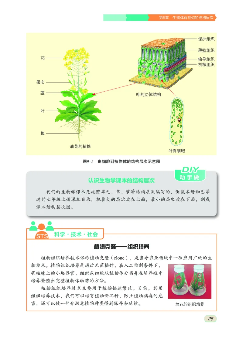 苏科版7年级生物下册高清教材_4-教培资料-26年最新资料-同步更新_初中高中教资_03科三专项（进去保存报考的学科即可）_02科三专项（笔记真题思维导图教学设计版本二）