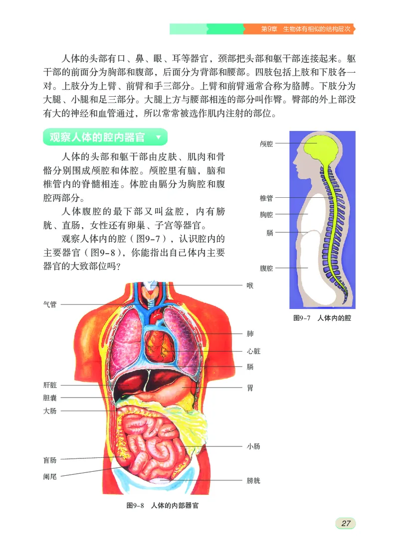 苏科版7年级生物下册高清教材_4-教培资料-26年最新资料-同步更新_初中高中教资_03科三专项（进去保存报考的学科即可）_02科三专项（笔记真题思维导图教学设计版本二）