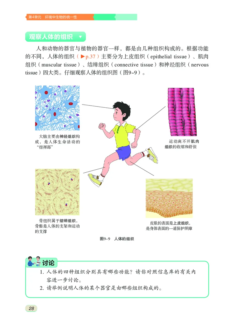 苏科版7年级生物下册高清教材_4-教培资料-26年最新资料-同步更新_初中高中教资_03科三专项（进去保存报考的学科即可）_02科三专项（笔记真题思维导图教学设计版本二）