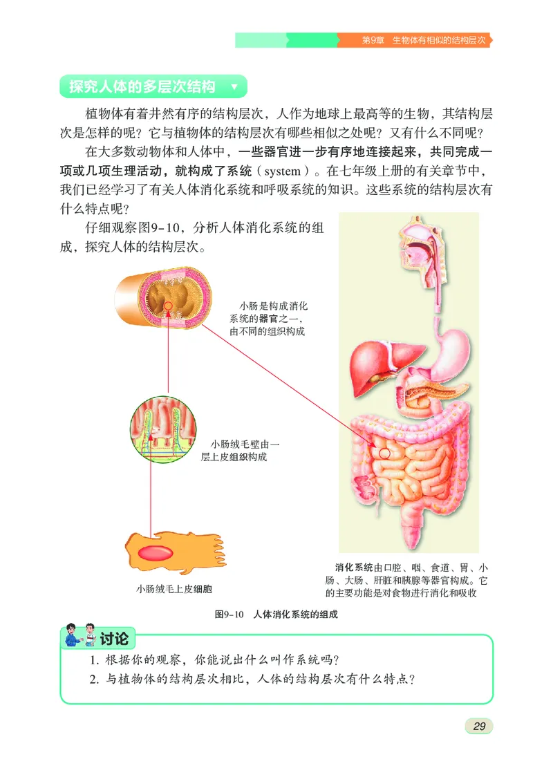 苏科版7年级生物下册高清教材_4-教培资料-26年最新资料-同步更新_初中高中教资_03科三专项（进去保存报考的学科即可）_02科三专项（笔记真题思维导图教学设计版本二）