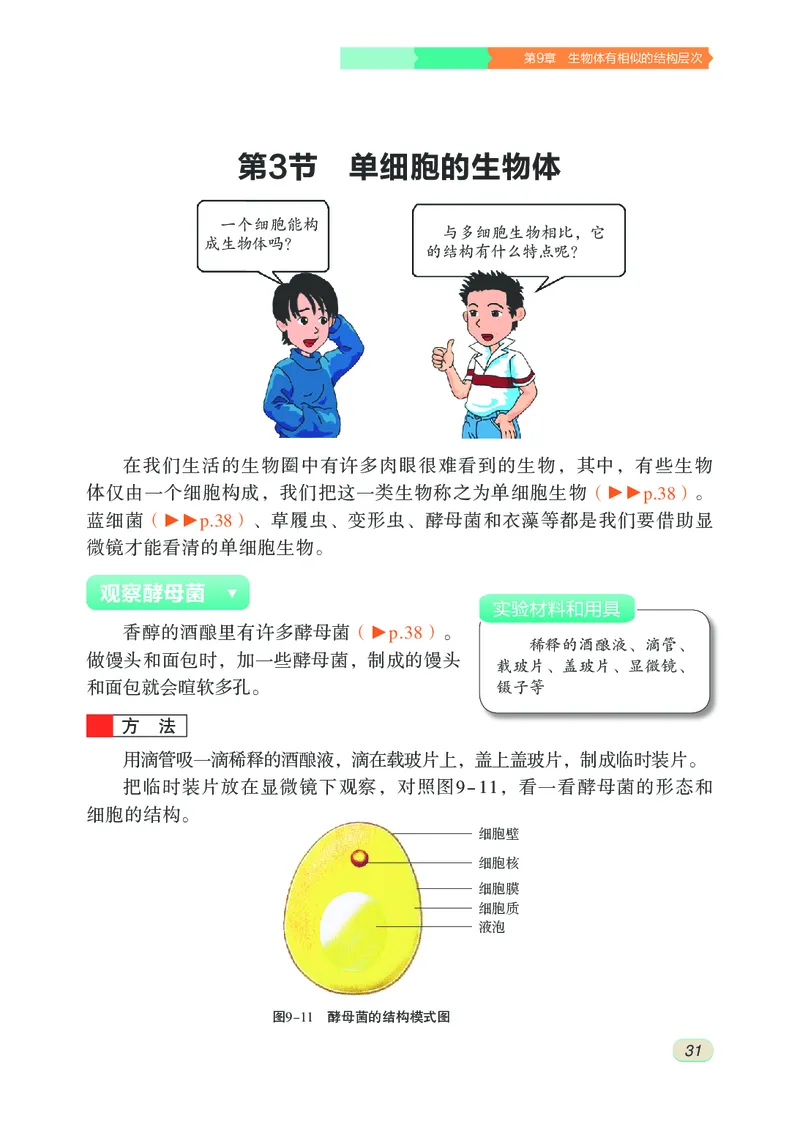 苏科版7年级生物下册高清教材_4-教培资料-26年最新资料-同步更新_初中高中教资_03科三专项（进去保存报考的学科即可）_02科三专项（笔记真题思维导图教学设计版本二）
