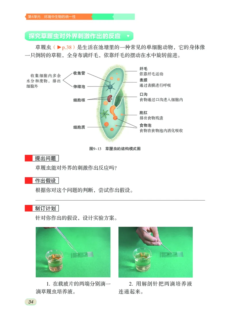 苏科版7年级生物下册高清教材_4-教培资料-26年最新资料-同步更新_初中高中教资_03科三专项（进去保存报考的学科即可）_02科三专项（笔记真题思维导图教学设计版本二）
