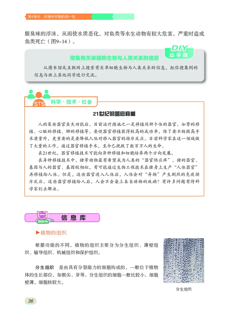 苏科版7年级生物下册高清教材_4-教培资料-26年最新资料-同步更新_初中高中教资_03科三专项（进去保存报考的学科即可）_02科三专项（笔记真题思维导图教学设计版本二）