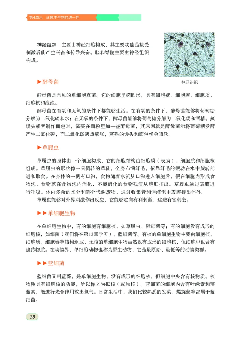 苏科版7年级生物下册高清教材_4-教培资料-26年最新资料-同步更新_初中高中教资_03科三专项（进去保存报考的学科即可）_02科三专项（笔记真题思维导图教学设计版本二）