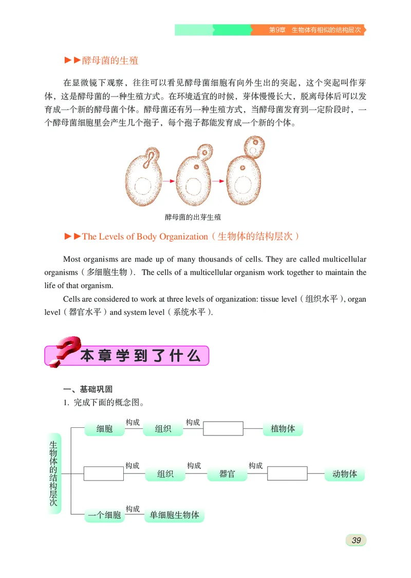 苏科版7年级生物下册高清教材_4-教培资料-26年最新资料-同步更新_初中高中教资_03科三专项（进去保存报考的学科即可）_02科三专项（笔记真题思维导图教学设计版本二）
